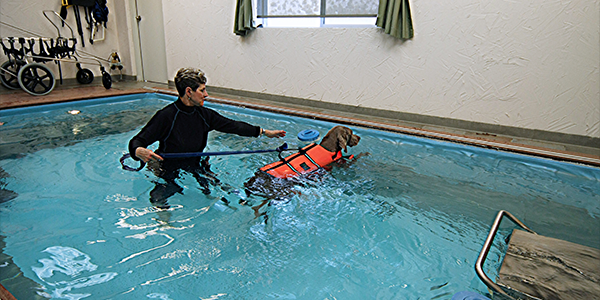 Robyn and her patient at work in the pool